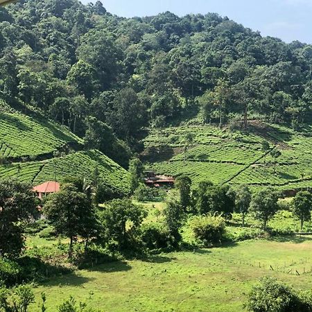 Janiro Tea Trees Villas Vythiri Bagian luar foto