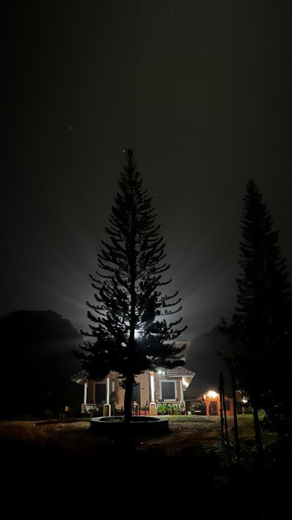 Janiro Tea Trees Villas Vythiri Bagian luar foto