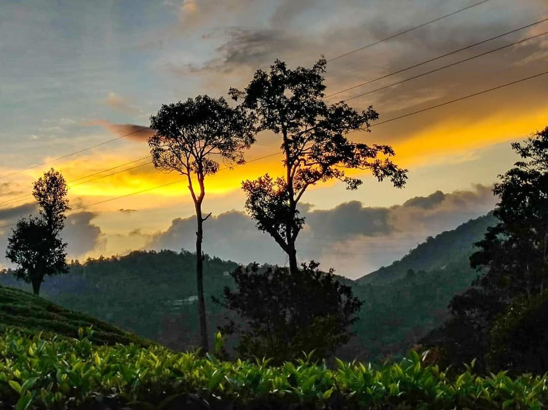 Janiro Tea Trees Villas Vythiri Bagian luar foto