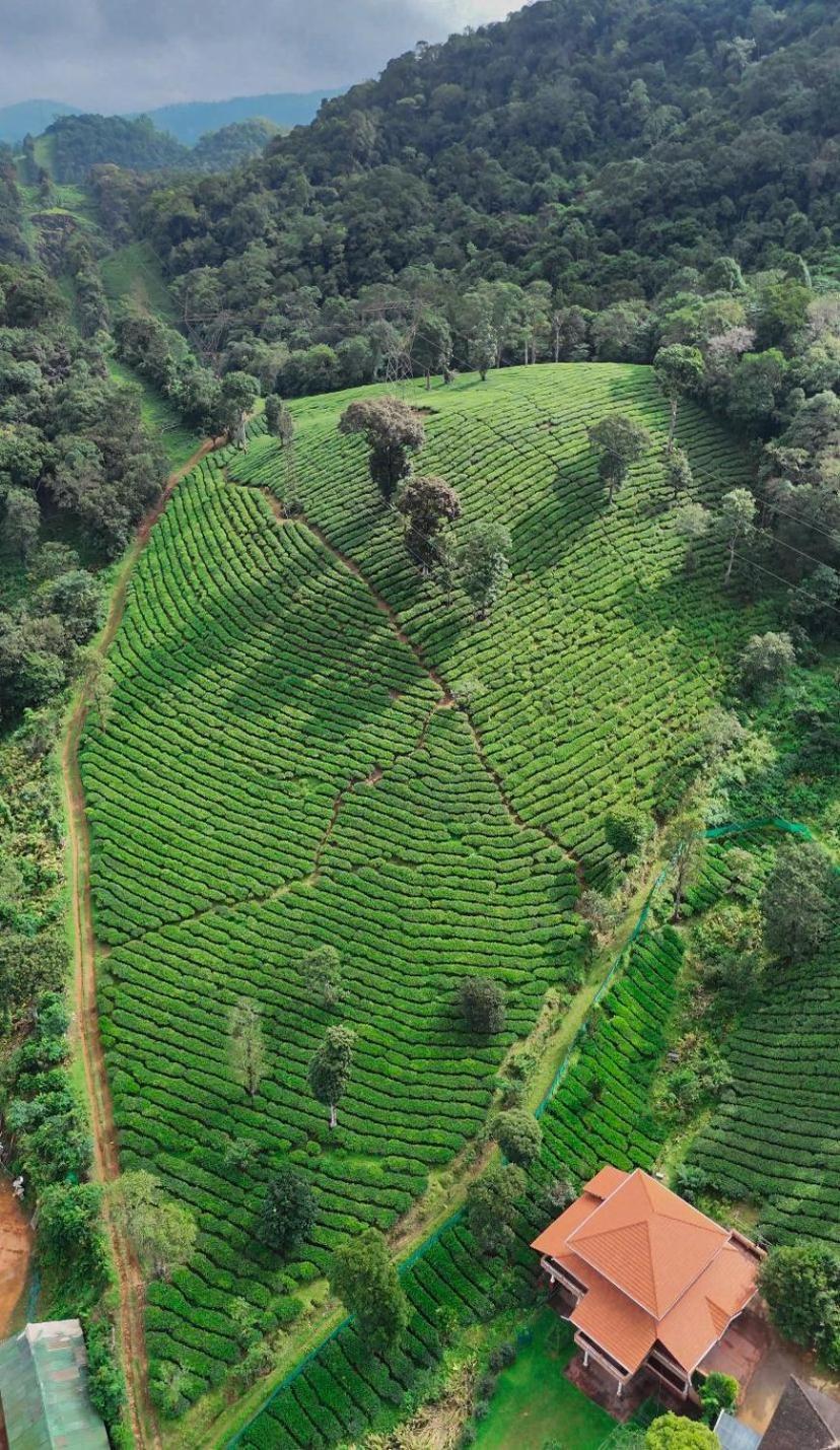 Janiro Tea Trees Villas Vythiri Bagian luar foto