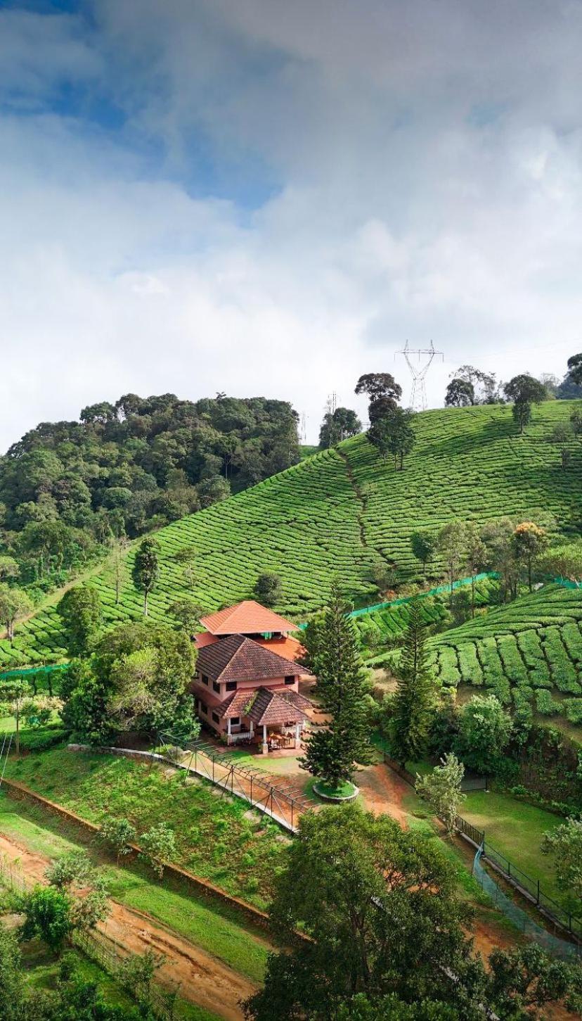 Janiro Tea Trees Villas Vythiri Bagian luar foto