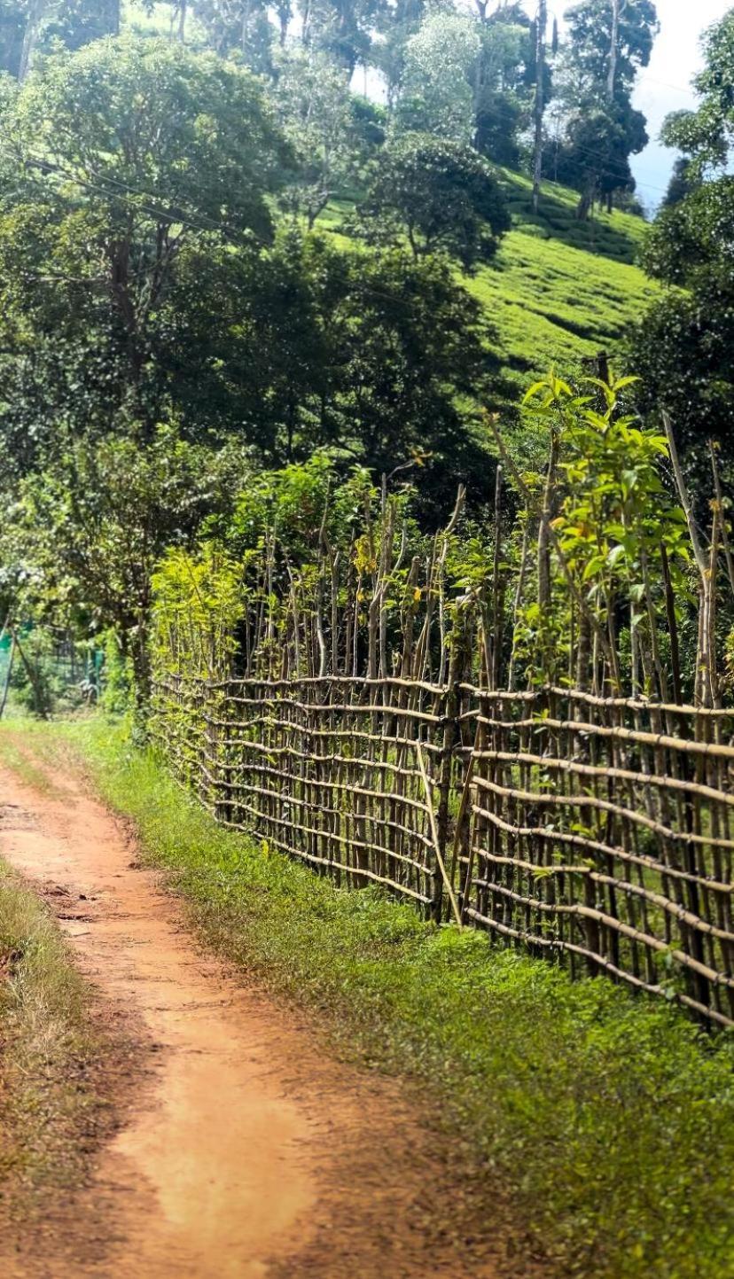 Janiro Tea Trees Villas Vythiri Bagian luar foto