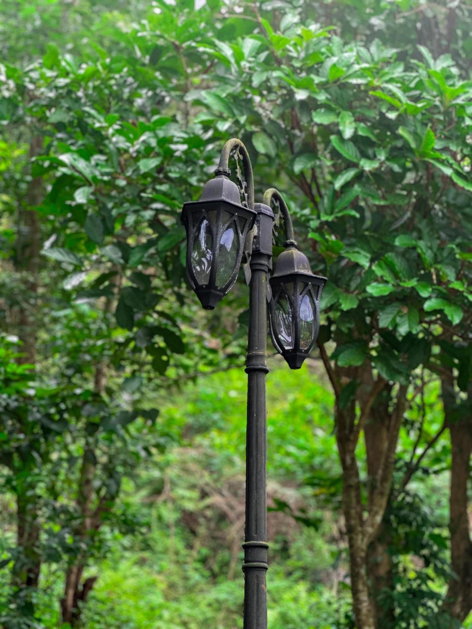Janiro Tea Trees Villas Vythiri Bagian luar foto