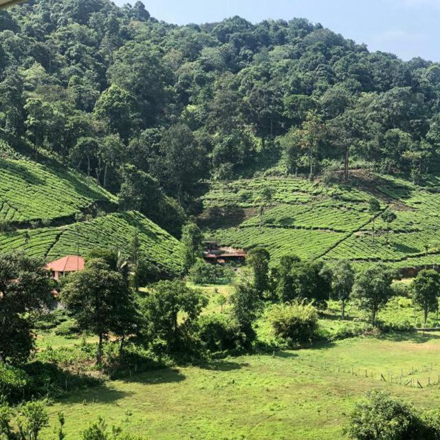 Janiro Tea Trees Villas Vythiri Bagian luar foto
