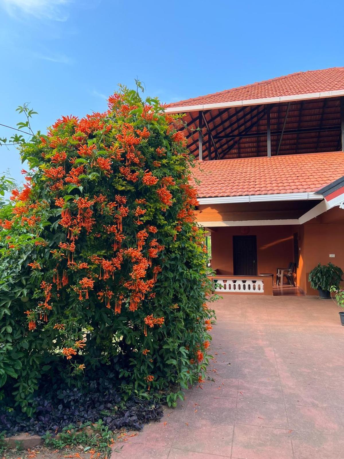 Janiro Tea Trees Villas Vythiri Bagian luar foto